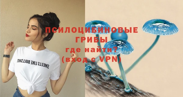 мяу мяу кристалл Надым