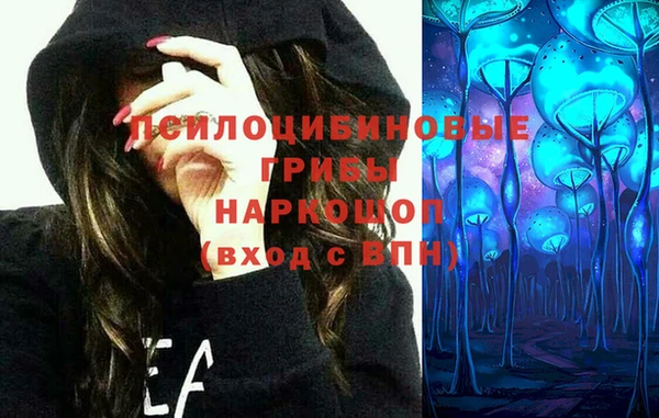 ешки Верея