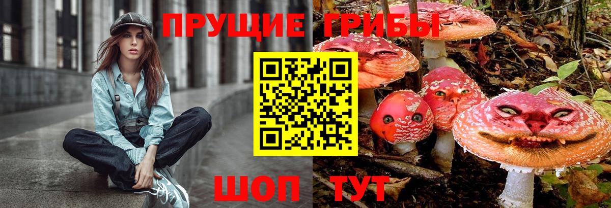 Галлюциногенные грибы ЛСД Камышлов